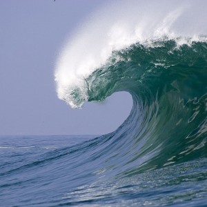 Is Your Business Ready to Ride the Tidal Wave for Positive Change?
