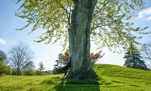 Image of girl standing below large tree in sun during spring