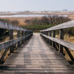 Image of a wooden staircase leading to lake