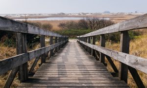 Image of a wooden staircase leading to lake