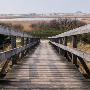 Image of a wooden staircase leading to lake