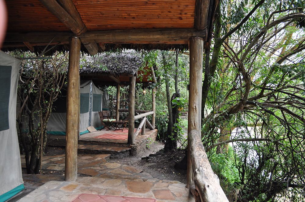 Image of tented camp at Fig Tree Camp, Masai Mara, Kenya