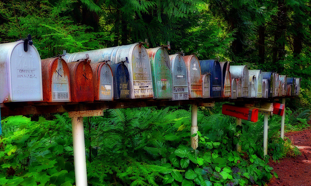Image of a line of colourful mailboxes with a forest in the background